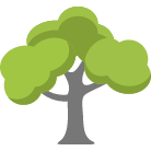 Pickerington Tree Removal