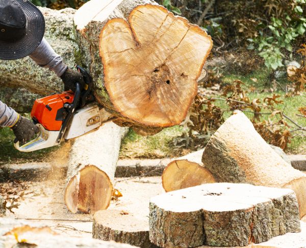 Tree Removal Service in Pickerington