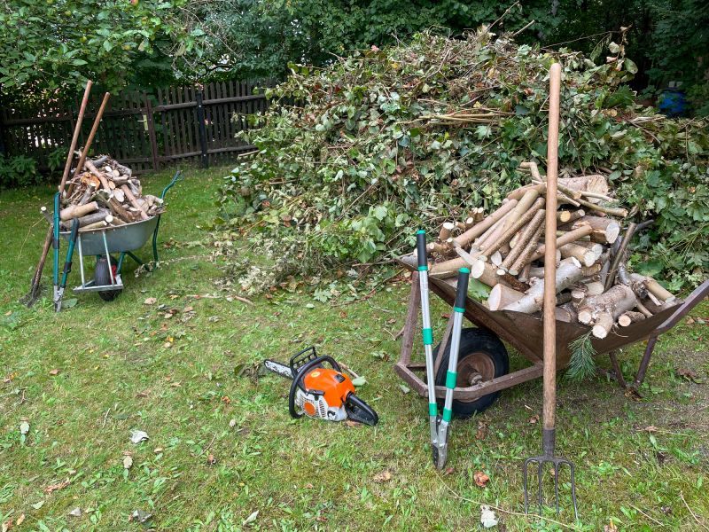 Tree Removal