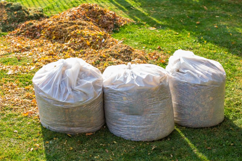 Benefits of Leaf Clearing