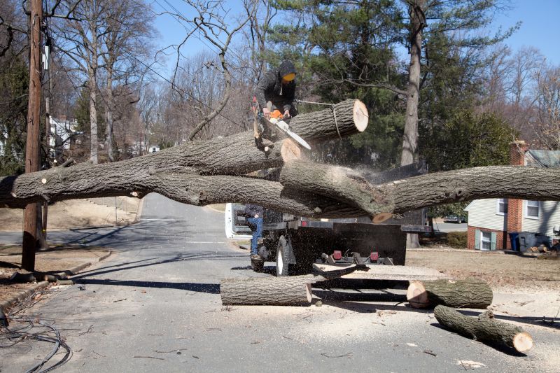 Commercial Property Tree Clearing