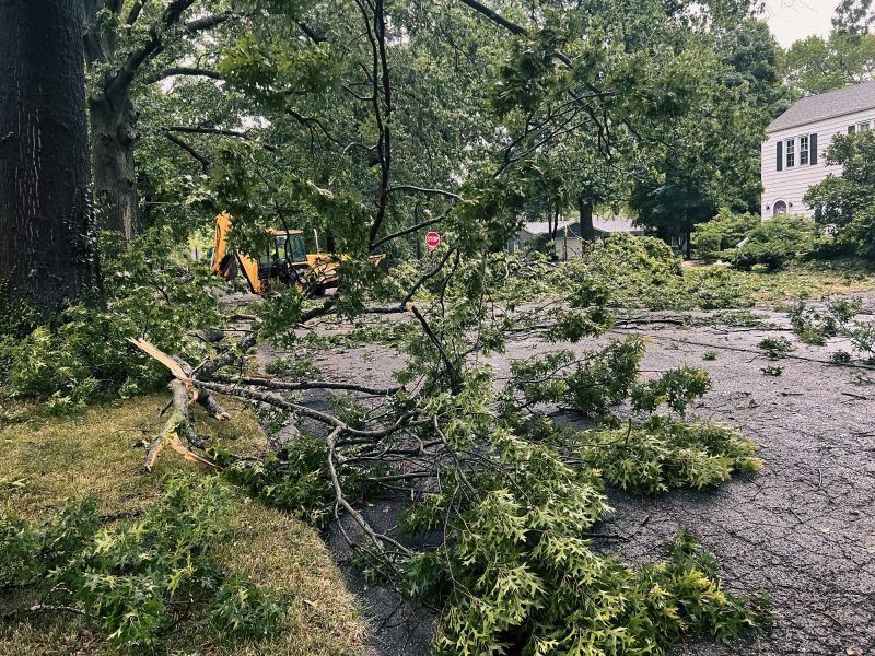 Debris Cleanup After Removal