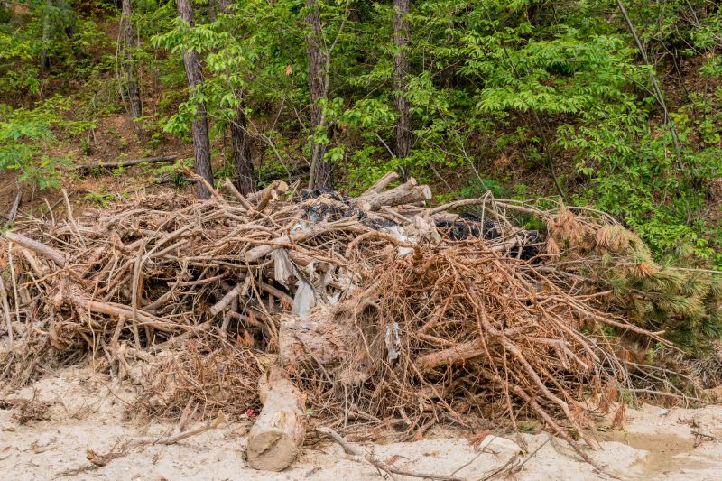 Debris Cleanup
