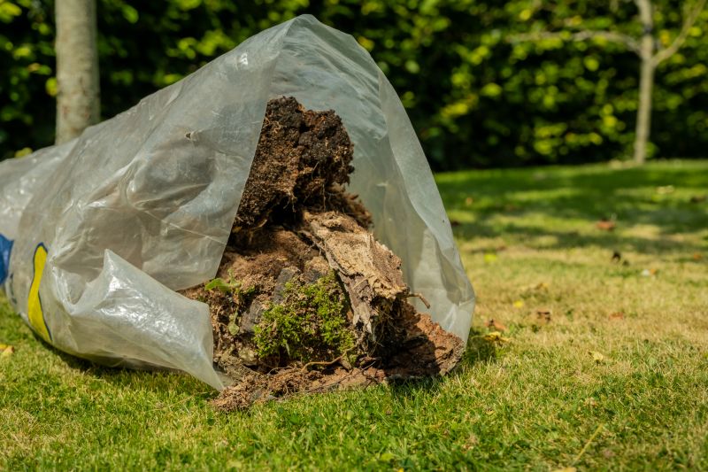 Landscape After Tree Removal